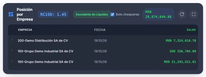 Widget Posición por Empresa con la casilla Solo chequeras